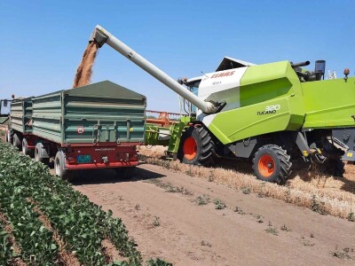 Kalkulacija troškova proizvodnje pšenice 2021. godine