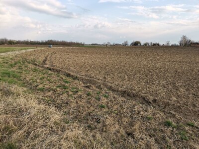 Kalkulacija troškova proizvodnje suncokreta 2020. godine