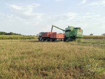 Kalkulacija troškova proizvodnje suncokreta 2020. godine