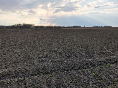 Kalkulacija troškova proizvodnje suncokreta 2020. godine