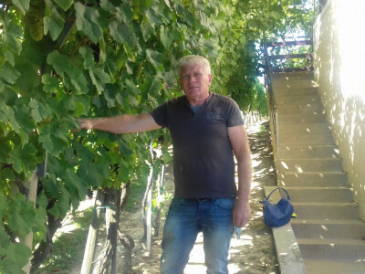 Berba samo što nije počela