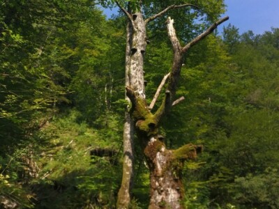 Kamačnik - tematska staza Kamačnik - tematska staza