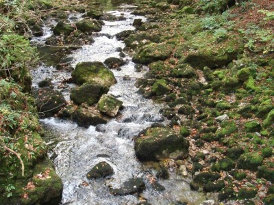 Kamačnik - tematska staza Kamačnik - tematska staza