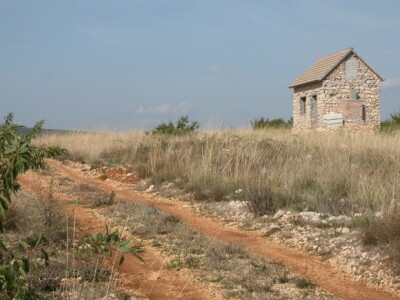 Kamena kućica na plantaži mladih bajama OPG Josip Čarć nagovještava kako će tu niknuti veći objekt u sklopu Programa ruralnog razvoja, i kao dopuna seoskog turizma