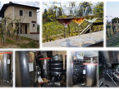 Dragutina ne zanimaju količine nego samo kvaliteta