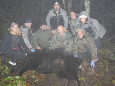 Kamera na ogrlici koju je nosio medved Aleksandar