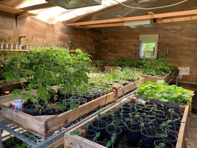 Kampanja "Ja sadim, a ti?"