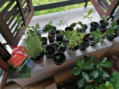 Kampanja "Ja sadim, a ti?"