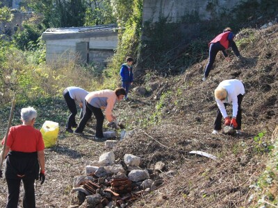 Kampanja "Zasadi stablo, ne budi panj"