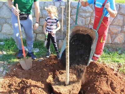 Kampanja "Zasadi stablo, ne budi panj"
