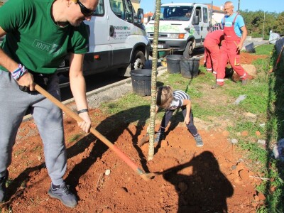 Kampanja "Zasadi stablo, ne budi panj"