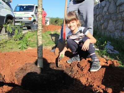 Kampanja "Zasadi stablo, ne budi panj"