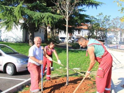 Kampanja "Zasadi stablo, ne budi panj"