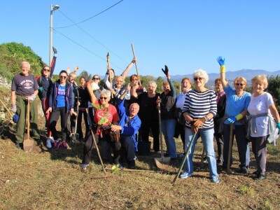 Kampanja "Zasadi stablo, ne budi panj"