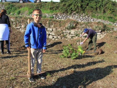 Kampanja "Zasadi stablo, ne budi panj"
