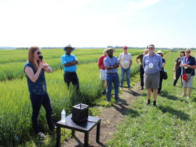 Kanada, nova zemlja rastućeg agrara