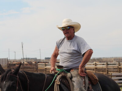 Kanada, nova zemlja rastućeg agrara