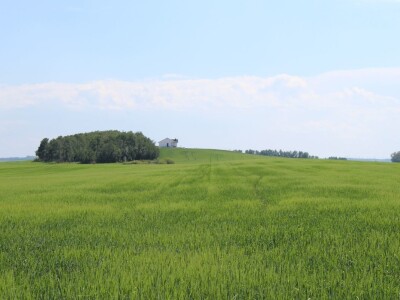 Kanada, velika zemlja rastućeg agrara