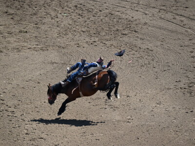 Kanada, velika zemlja rastućeg agrara