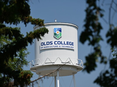 Kanada, velika zemlja rastućeg agrara