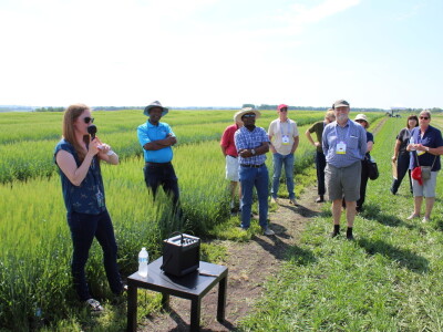 Kanada, velika zemlja rastućeg agrara