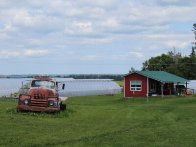 Kanada, velika zemlja rastućeg agrara