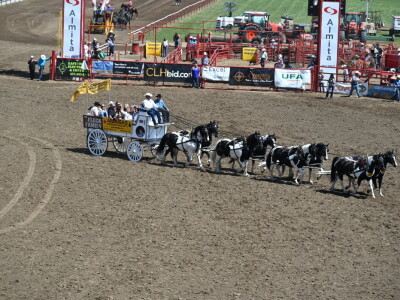Kanada, velika zemlja rastućeg agrara