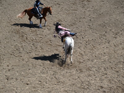 Kanada, velika zemlja rastućeg agrara