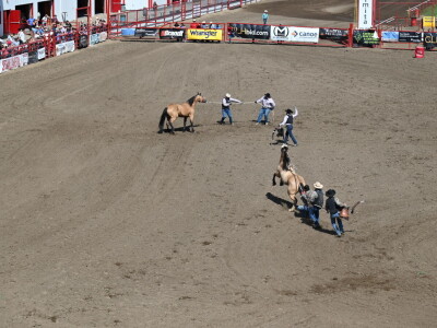 Kanada, velika zemlja rastućeg agrara