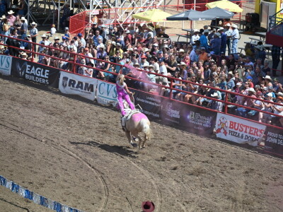 Kanada, velika zemlja rastućeg agrara