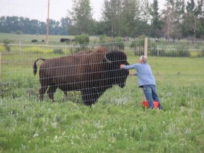 Kanada, velika zemlja rastućeg agrara