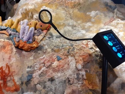 Kanal Sv. Ante - posjetiteljski centar