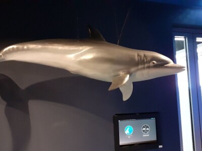 Kanal Sv. Ante - posjetiteljski centar