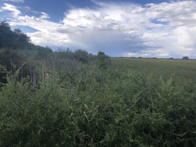 Kanali za odvodnjavanje (Vajska, opština Bač)