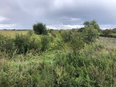 Kanali za odvodnjavanje (Vajska, opština Bač)