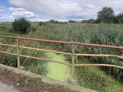 Kanali za odvodnjavanje (Vajska, opština Bač)