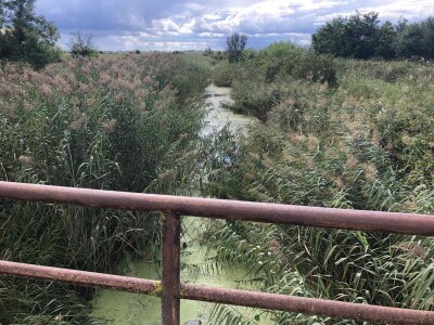 Kanali za odvodnjavanje (Vajska, opština Bač)