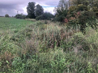 Kanali za odvodnjavanje (Vajska, opština Bač)