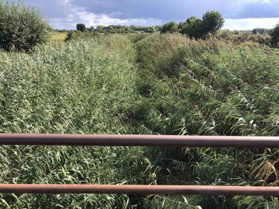 Kanali za odvodnjavanje (Vajska, opština Bač)