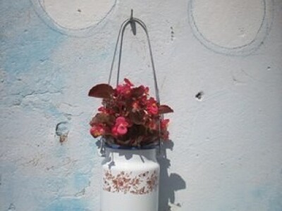 Kantice za pasulj ili čorbu poslužile kao saksije