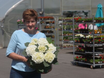 Karmanka Cepanec svoje plastenike grije obnovljivim izvorima energije