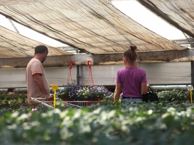 Karmanka Cepanec svoje plastenike grije obnovljivim izvorima energije