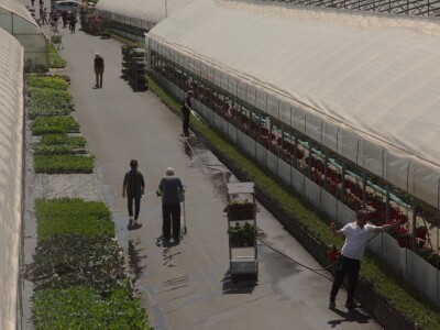 Karmanka Cepanec svoje plastenike grije obnovljivim izvorima energije