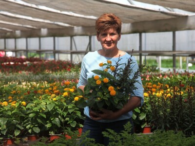 Karmanka Cepanec svoje plastenike grije obnovljivim izvorima energije