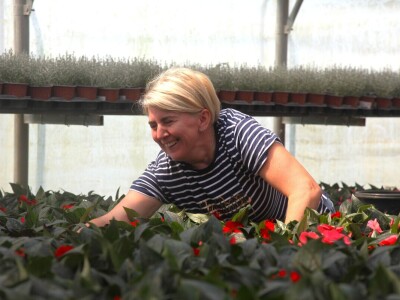 Karmanka Cepanec svoje plastenike grije obnovljivim izvorima energije