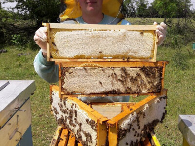 Karolina Miladinović- supruga Milana Miladinovića