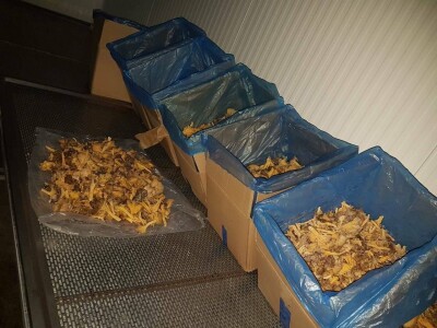 Kasim Čolak: Jedini u BiH otkupljujemo puževe sa kućicom