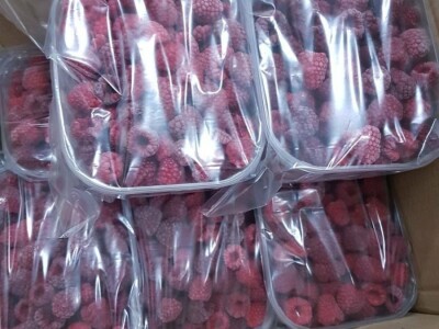 Kasim Čolak: Jedini u BiH otkupljujemo puževe sa kućicom