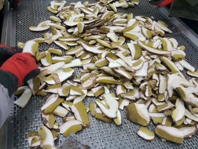 Kasim Čolak: Jedini u BiH otkupljujemo puževe sa kućicom