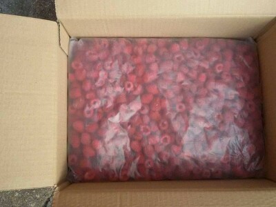 Kasim Čolak: Jedini u BiH otkupljujemo puževe sa kućicom